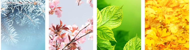 Four seasonal nature panels showing winter frost, spring blossoms, summer greenery and autumn leaves.