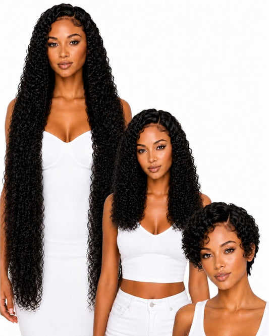Black curly transparent lace front human hair wig — cover